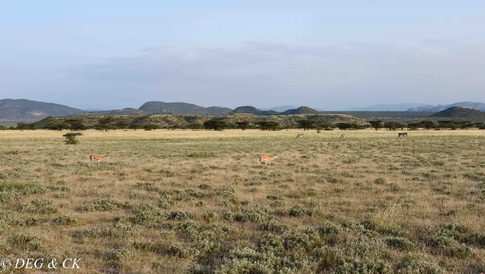 BuffaloSprings1b.jpg