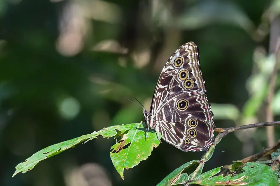 DSC_3366.jpg