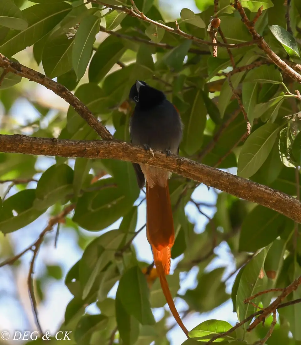 DSC_7124.jpg
