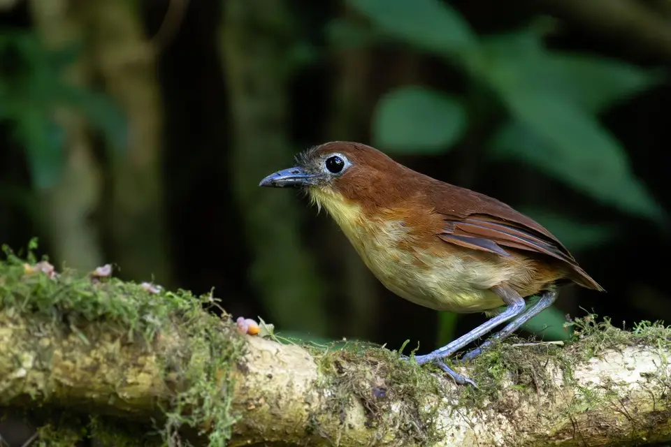 Ecuador15.jpg
