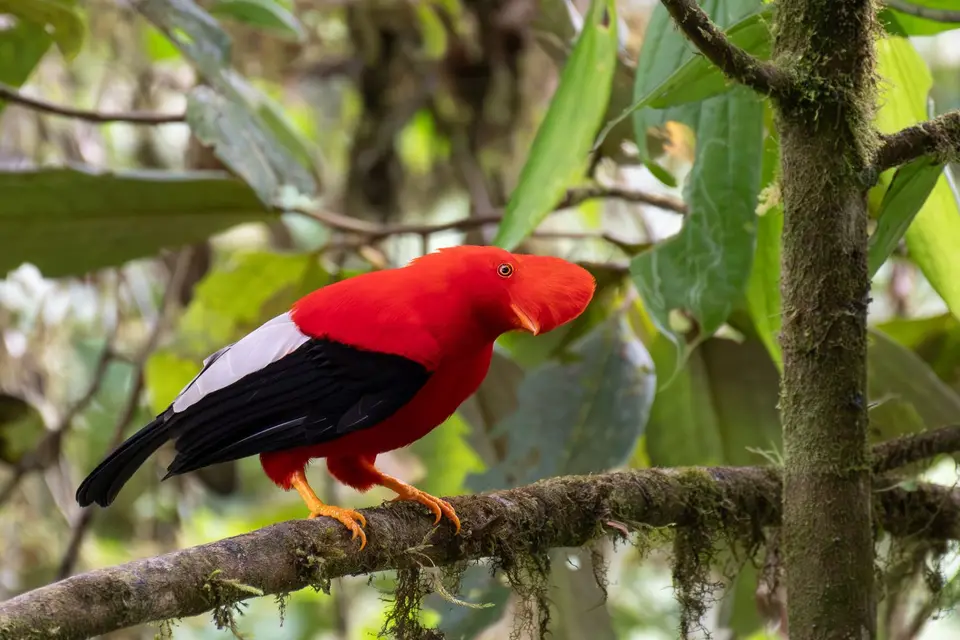 Ecuador16.jpg