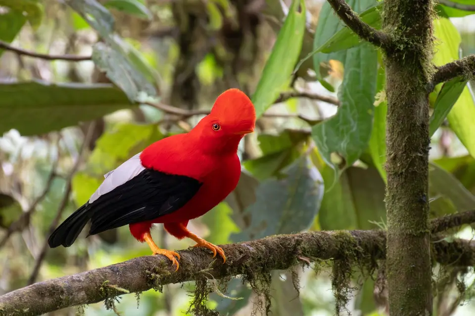 Ecuador17.jpg