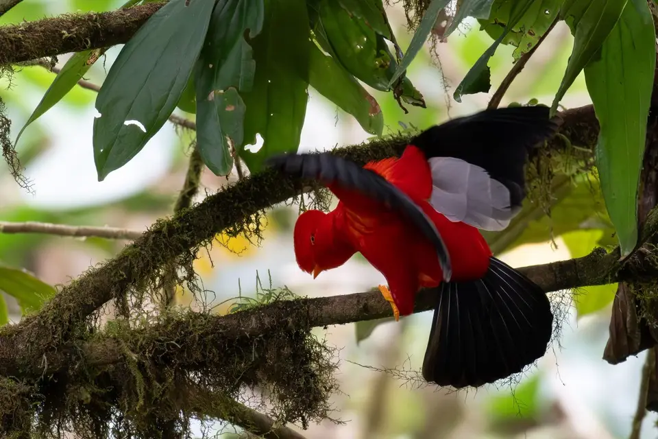 Ecuador19.jpg