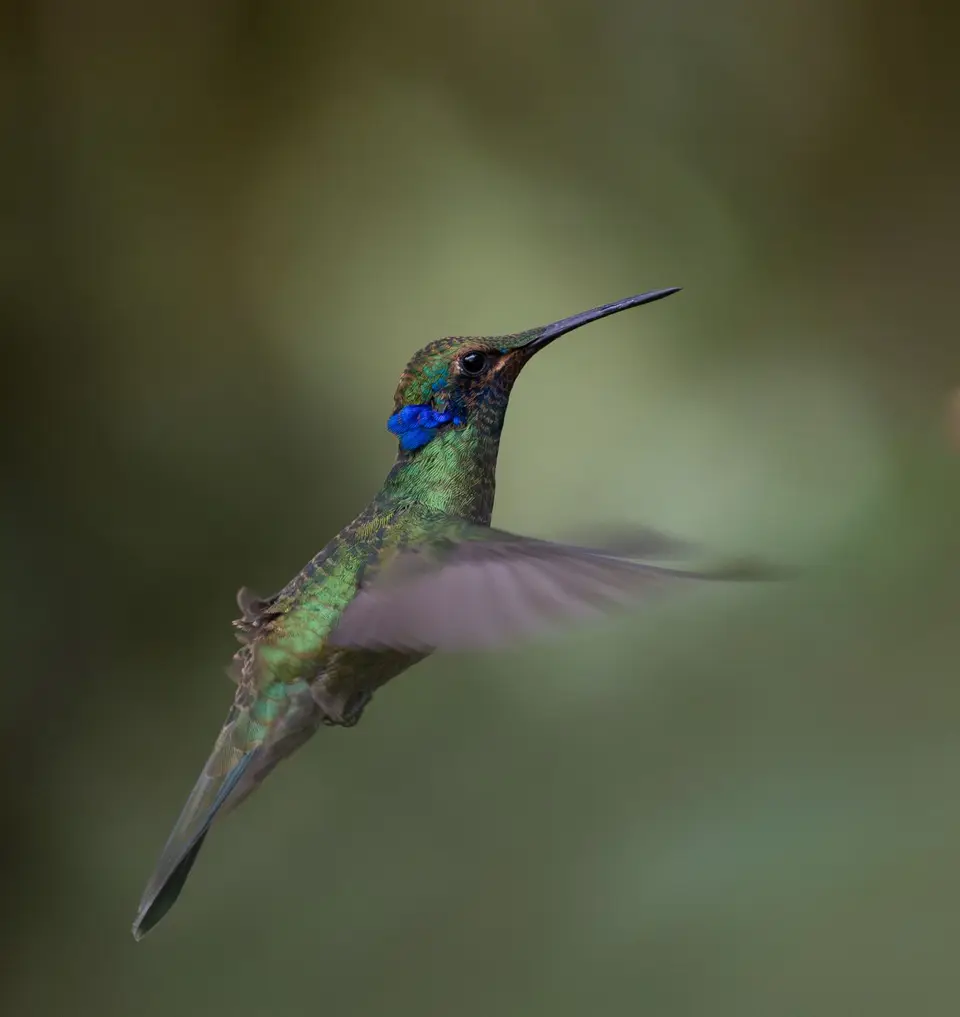 Ecuador25.jpg