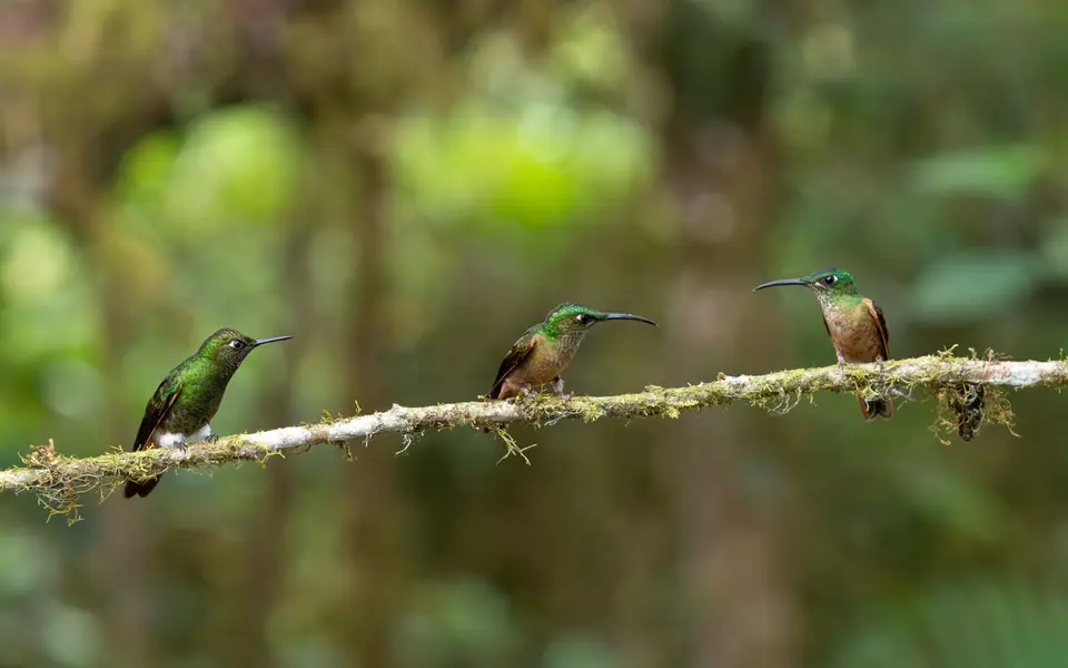 Ecuador26.jpg