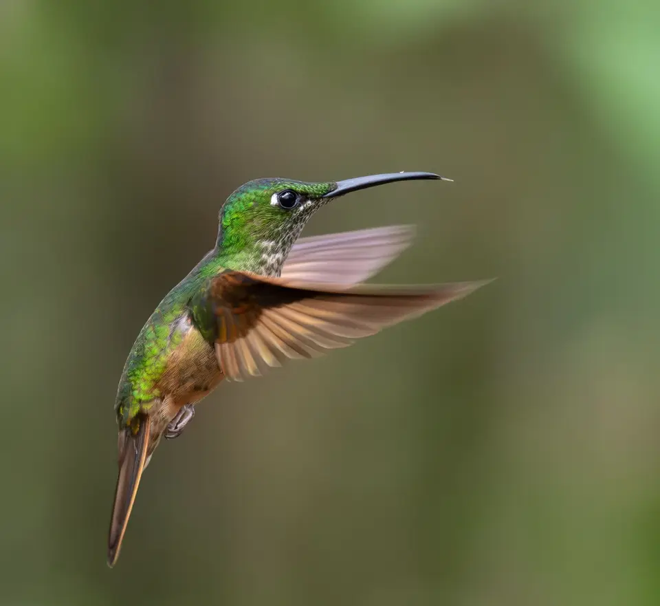 Ecuador3.jpg