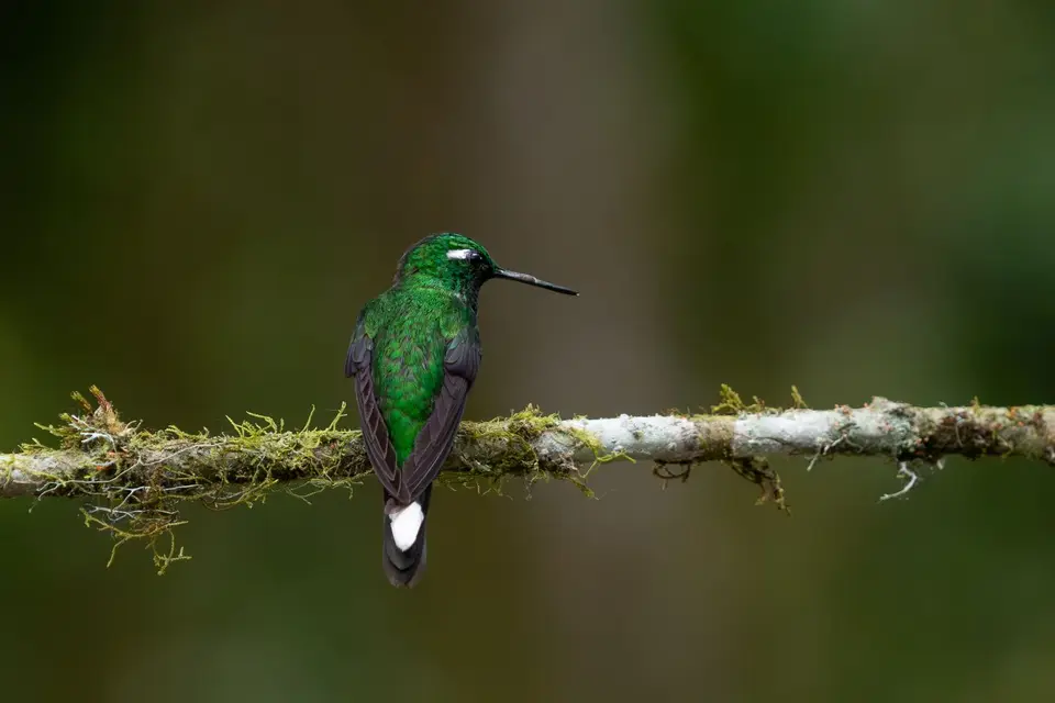 Ecuador30.jpg