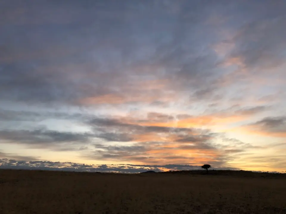 F1C5C7CF-2296-4B6F-982A-07695B77C5B0.jpeg