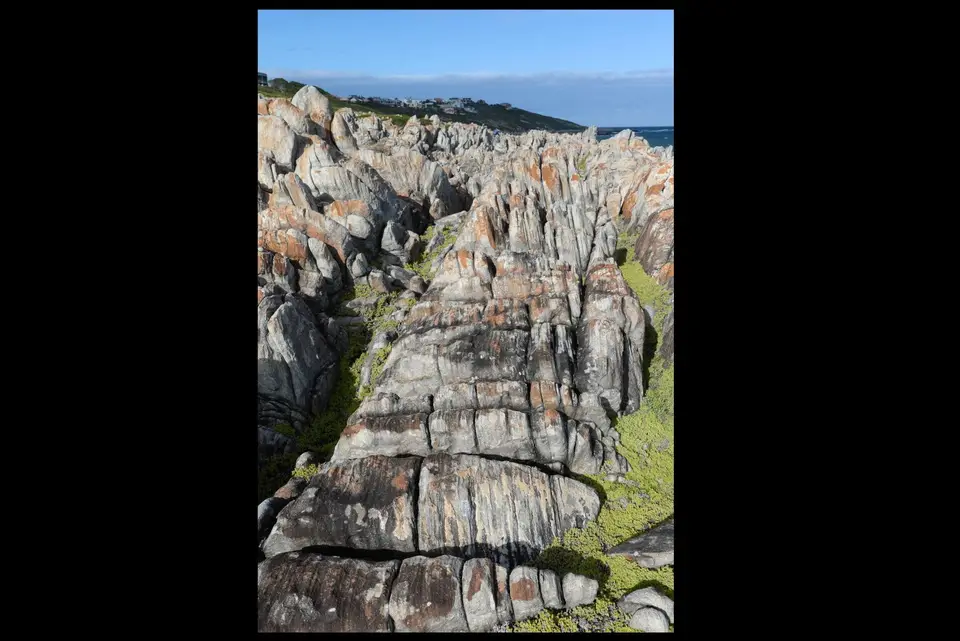 Gansbaai.jpg