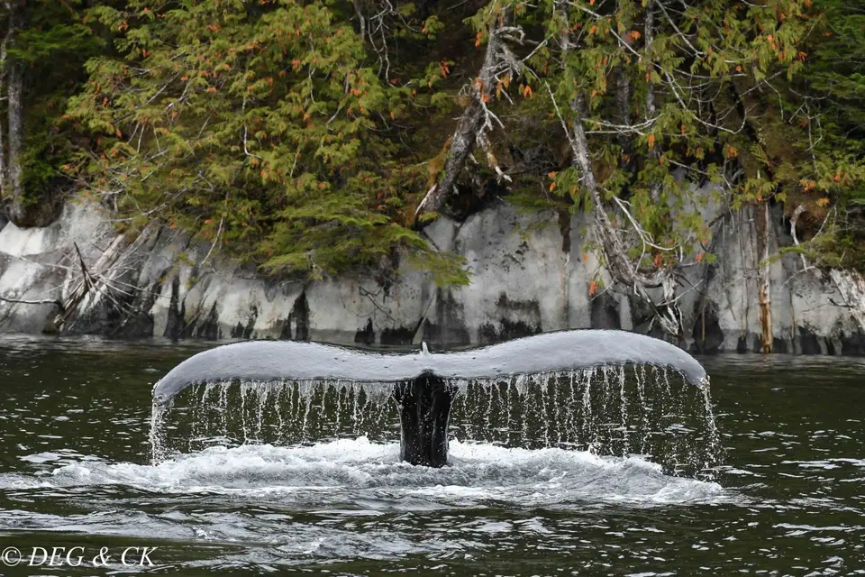 Kanada2019-2.jpg
