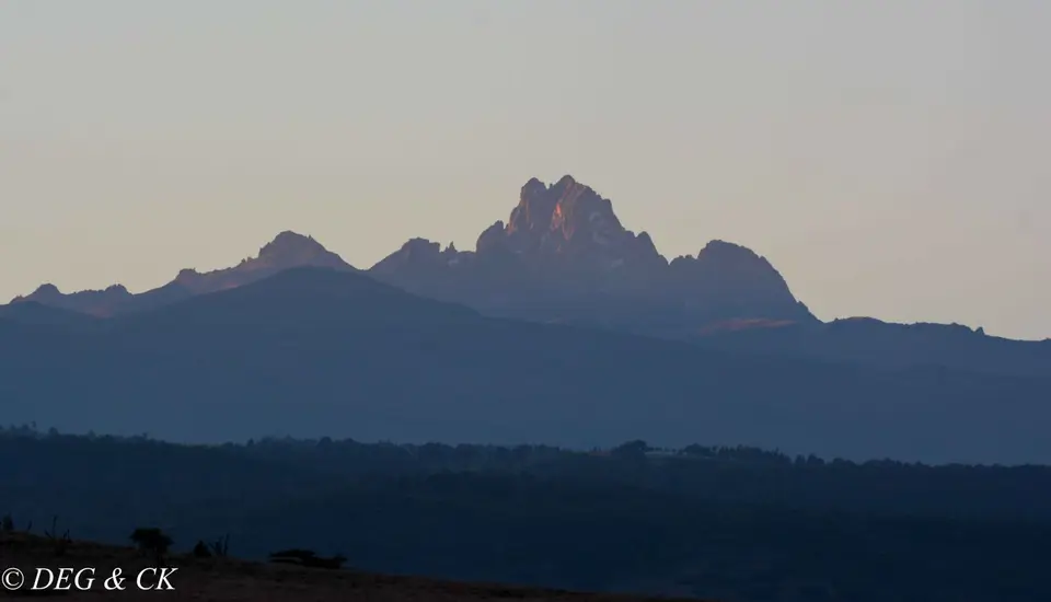 Lewa(1von42)-2.jpg