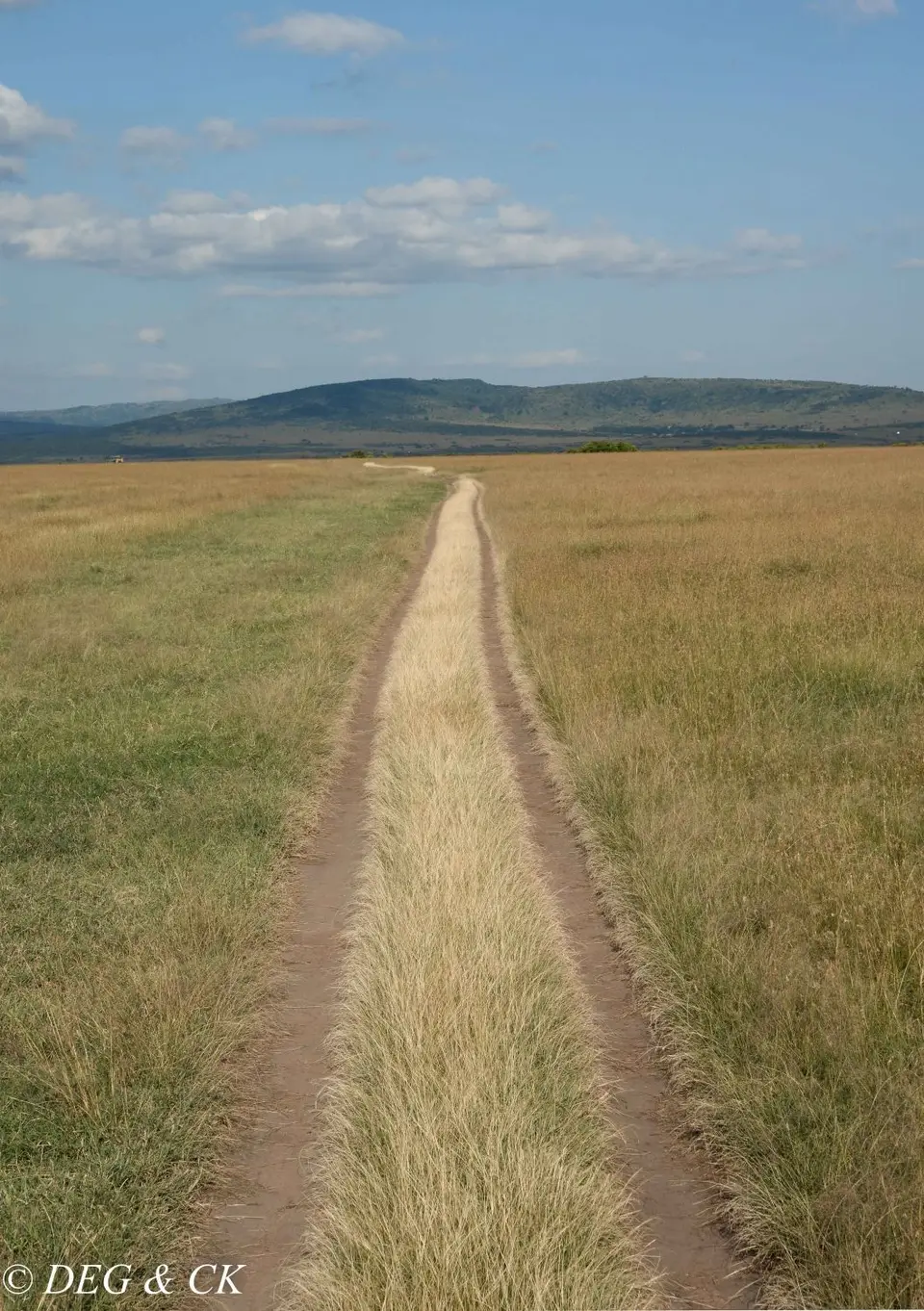 MasaiMara(39von7).jpg