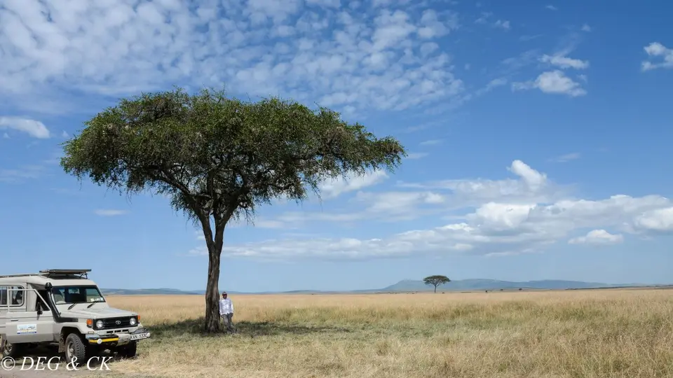 MasaiMara(64von24).jpg
