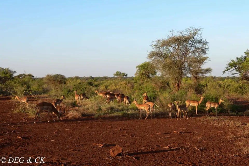 MeruNP(16von66).jpg