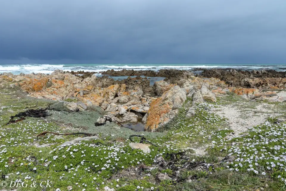 NFX_0283-2-2.jpg