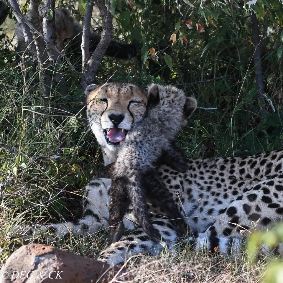 Naboisho(104von16).jpg