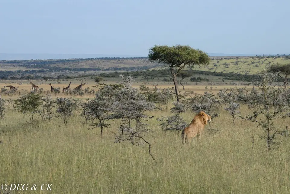 Naboisho13.jpg
