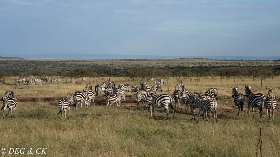 Naboisho2.jpg
