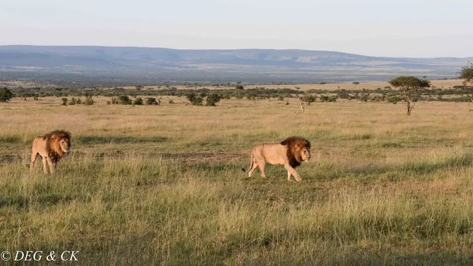 Naboisho38.jpg