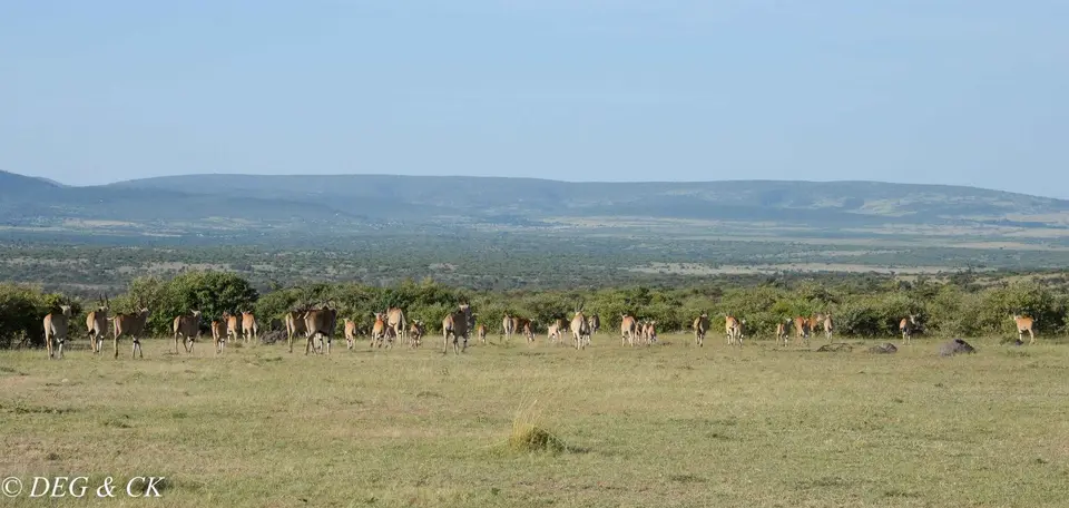 Naboisho45.jpg