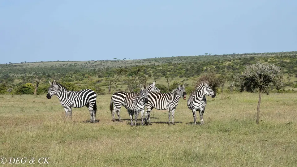 Naboisho46.jpg