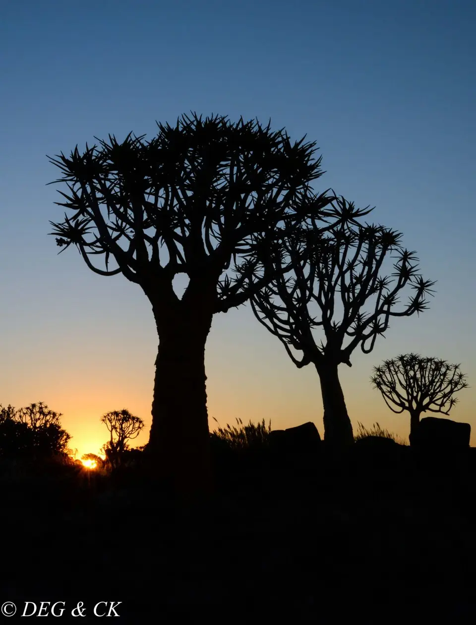 Namibia(10von7).jpg