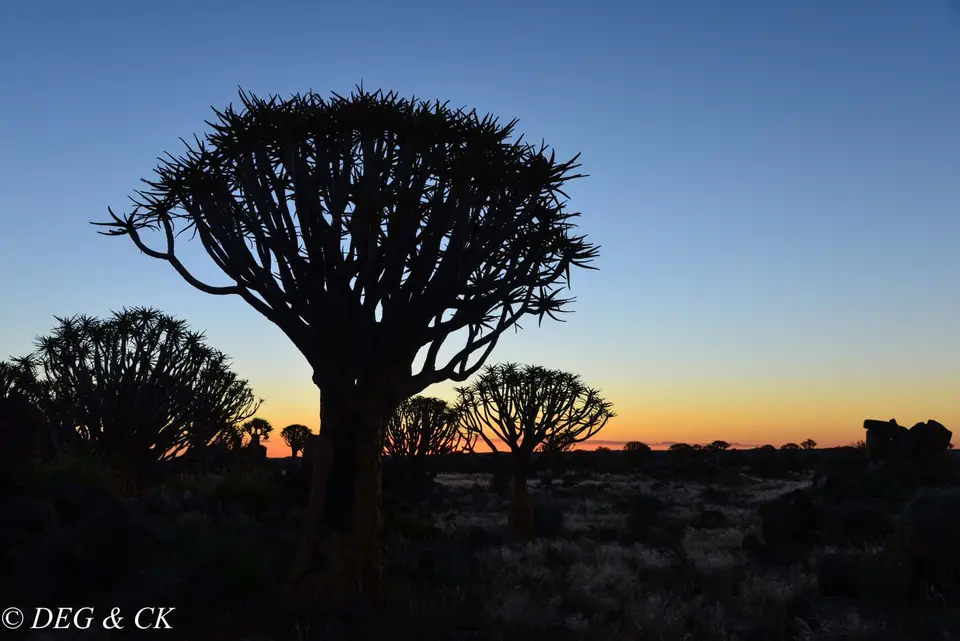 Namibia(11bvon7).jpg
