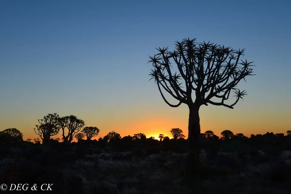 Namibia(11von7).jpg