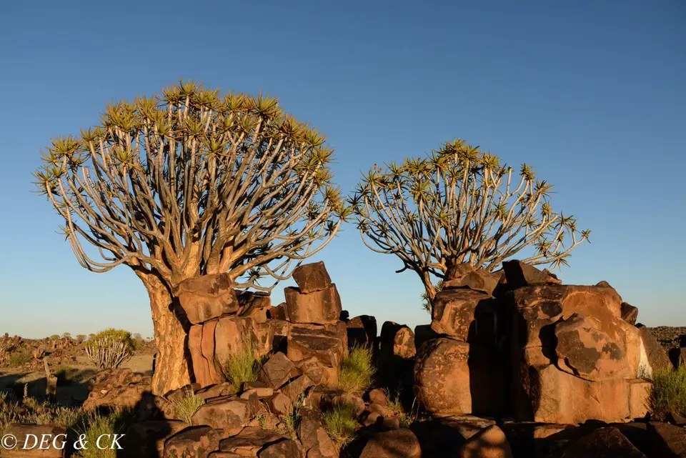 Namibia(15von4)-2.jpg