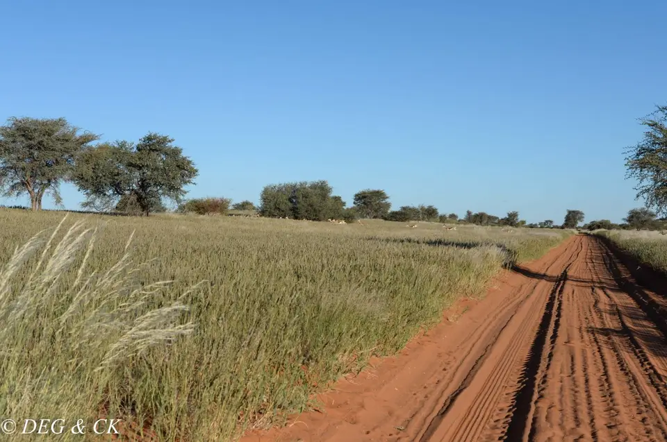 Namibia(1bvon1).jpg