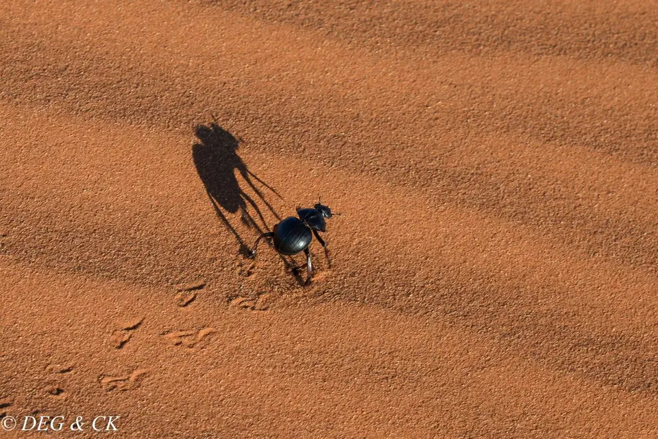 Namibia(23von7)-2.jpg
