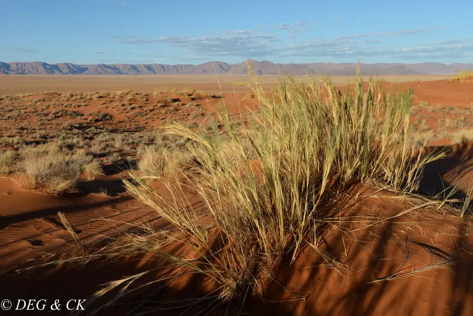Namibia(24von7).jpg