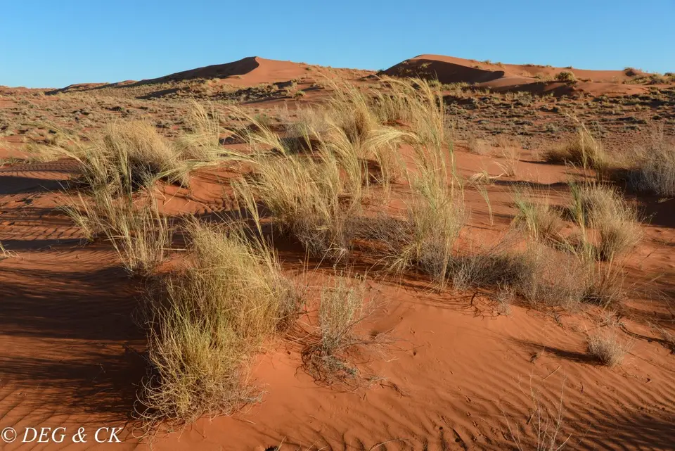 Namibia(25bvon7).jpg
