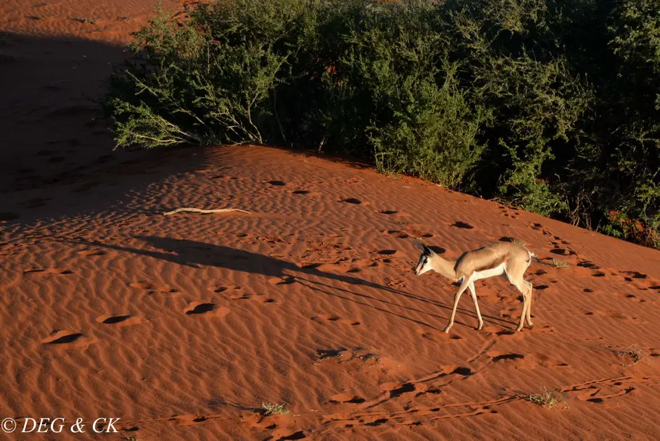 Namibia(2bvon3).jpg