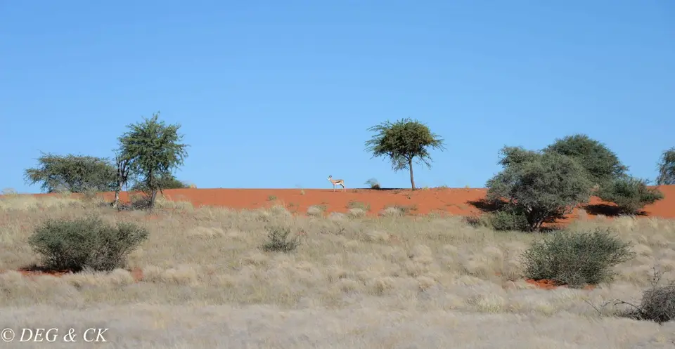 Namibia(2cvon3).jpg