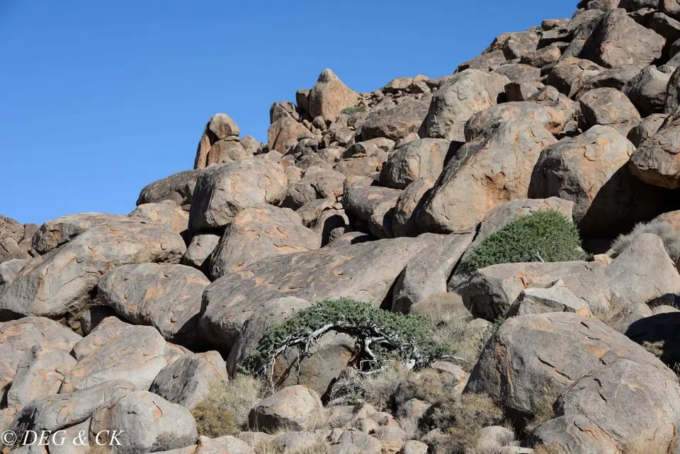 Namibia(32von5).jpg