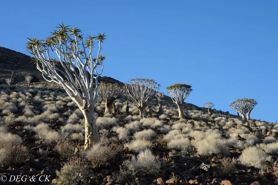Namibia(37von4).jpg
