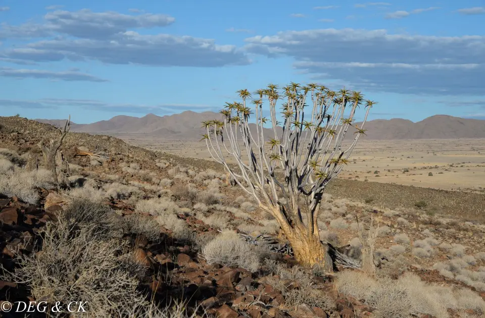 Namibia(38cvon6).jpg