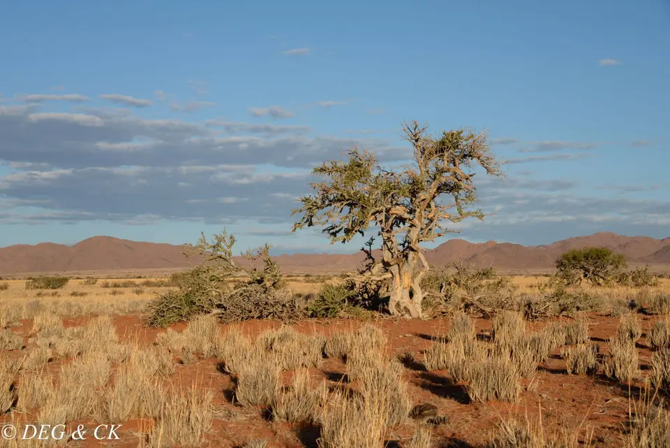 Namibia(39von6).jpg