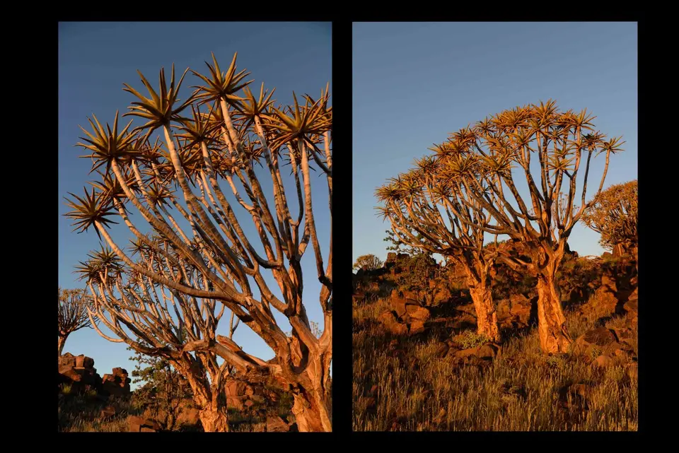 Namibia(4von4).jpg