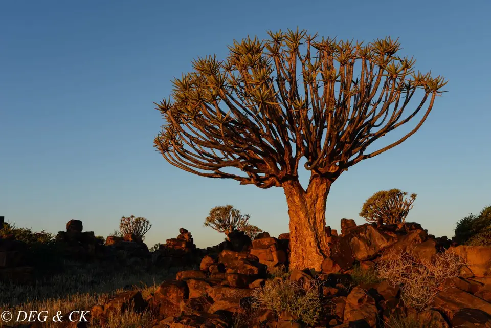 Namibia(9von7).jpg