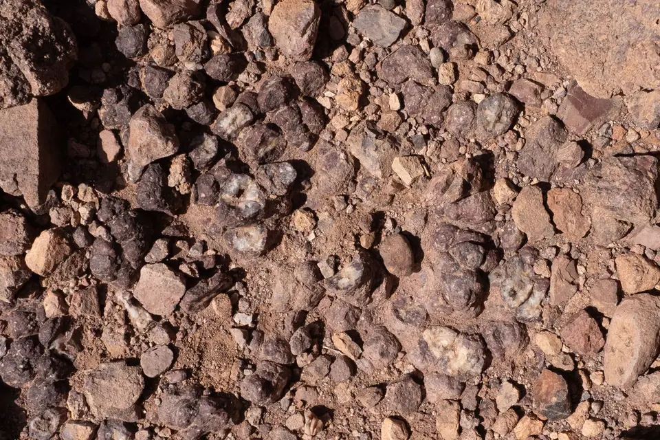 P2260755.jpg
