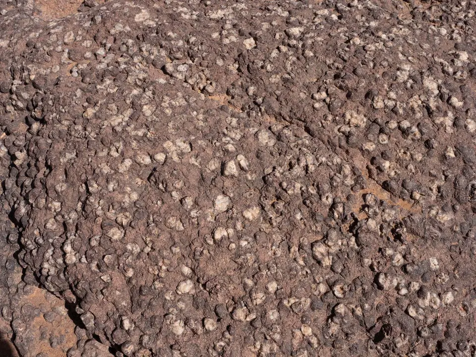 P2260757.jpg