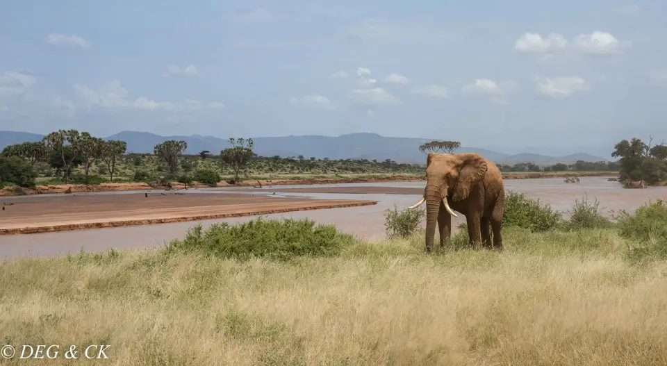 Samburu7-2.jpg