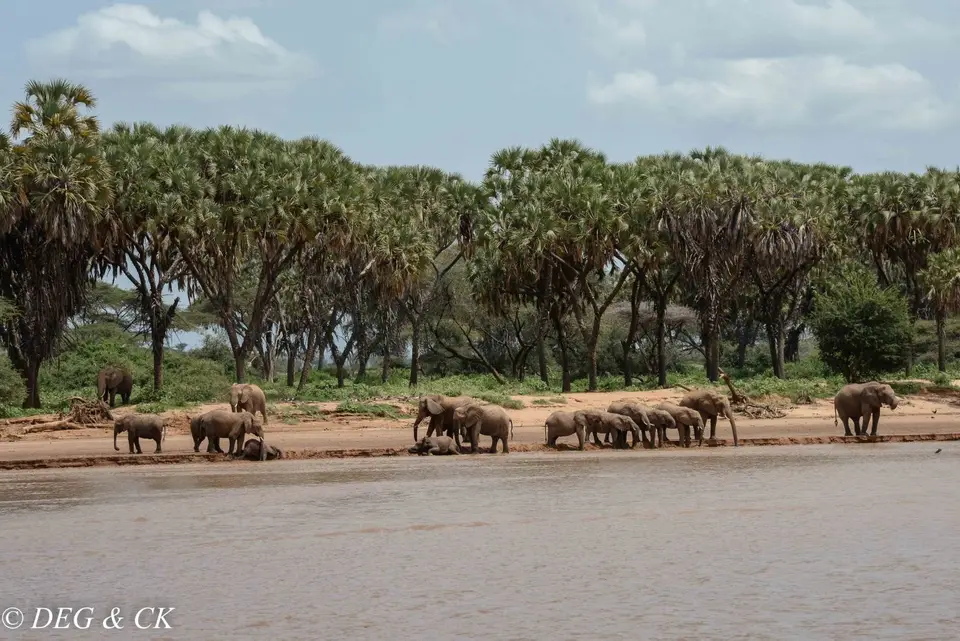 Samburu9.jpg