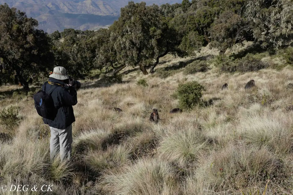 Simien3.jpg