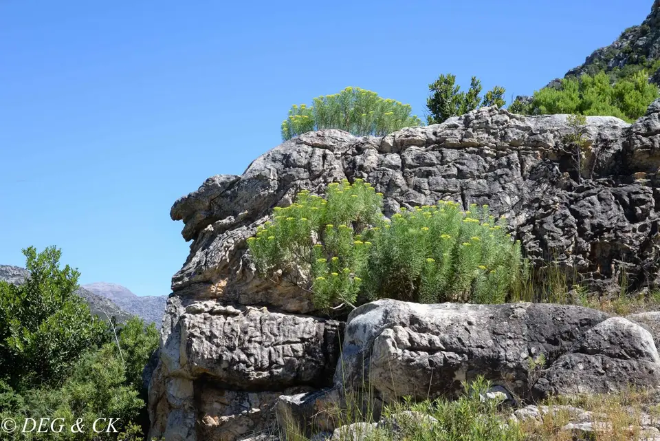 TankwaKaroo21.jpg
