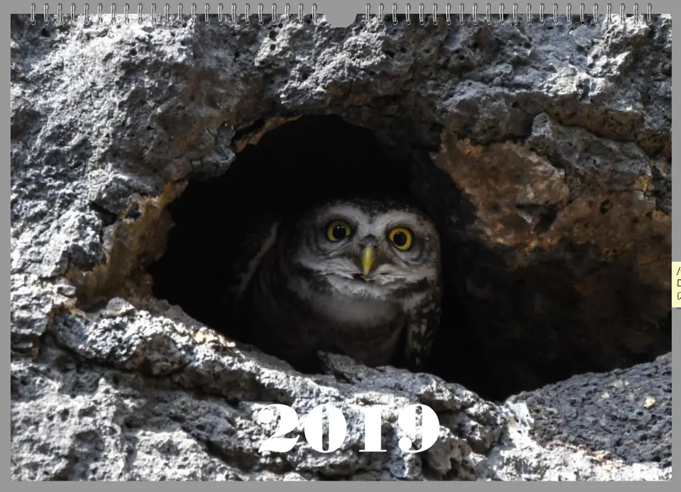 Titel-2.jpg