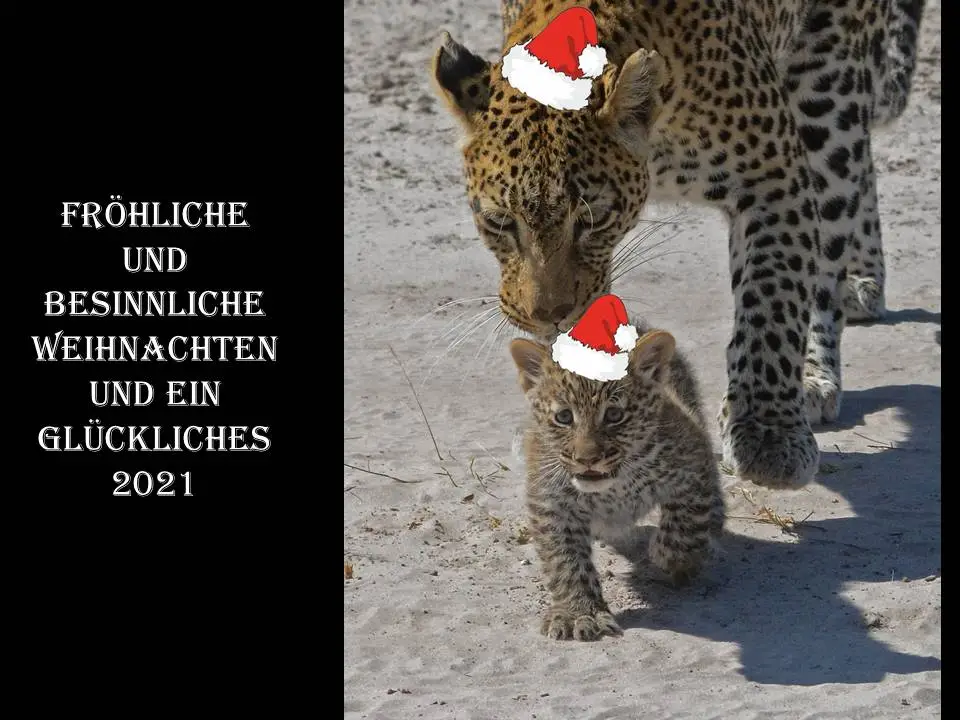 Weihnachten2020Forum.jpg
