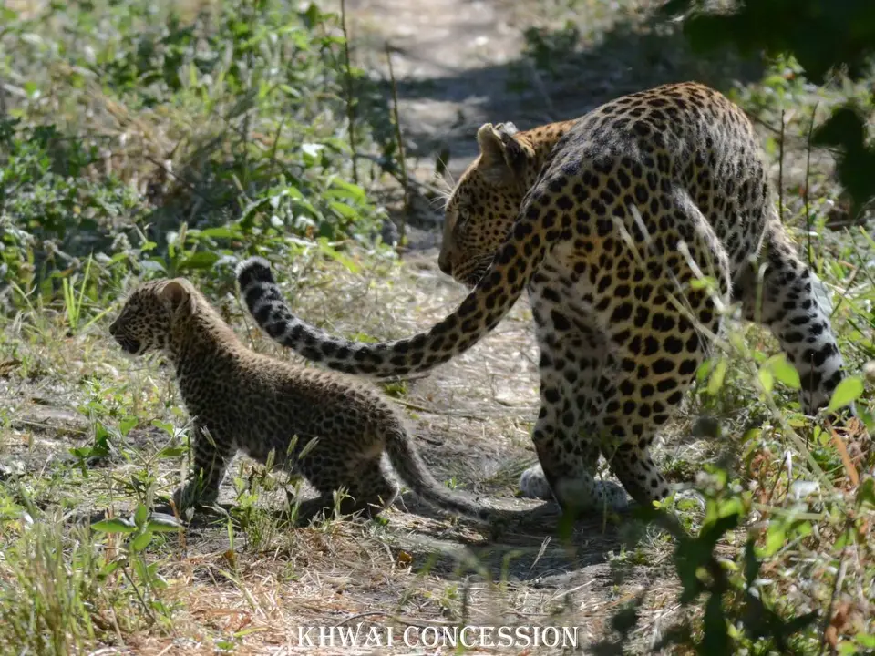 heccd837.jpg